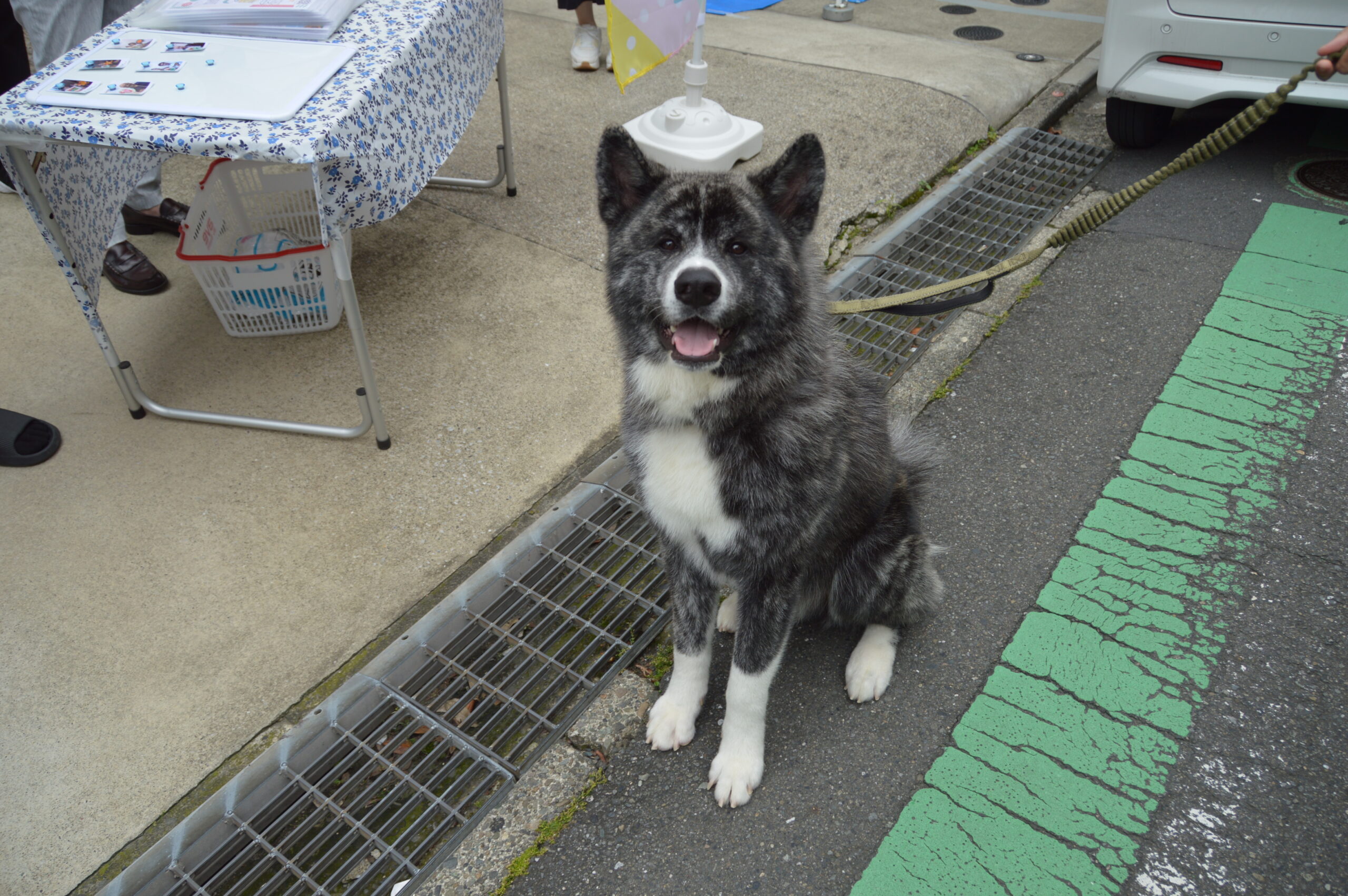 会場一番乗りしたワンちゃん